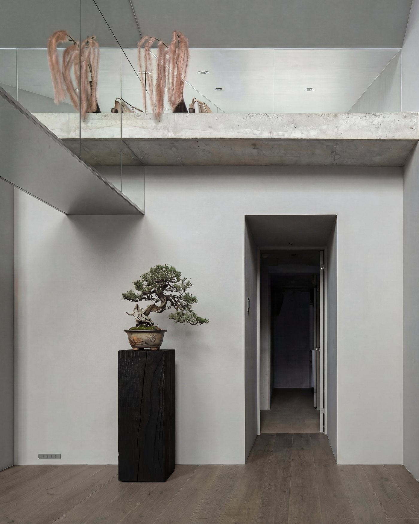 Black pedestal holding a bonsai in a concrete gallery space